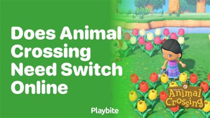 Does animal crossing need wifi?